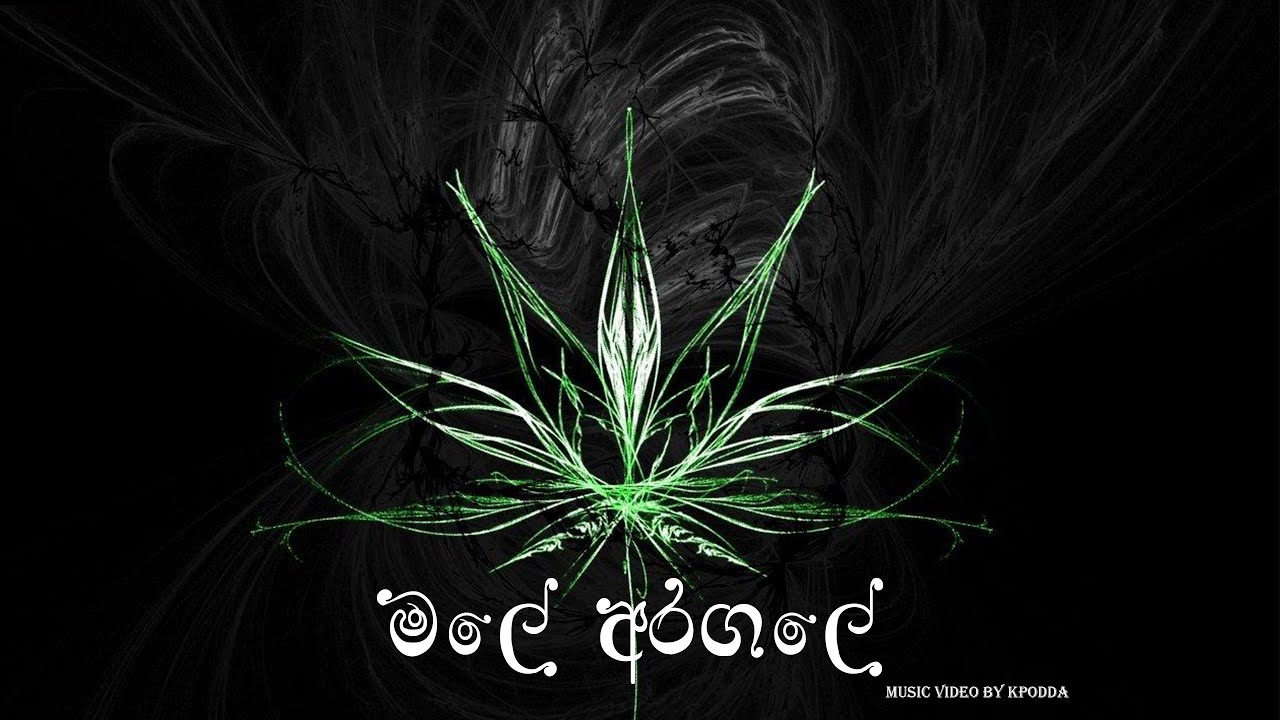 Male Aragale මලේ අරගලේ - KPodda - Official Music Video