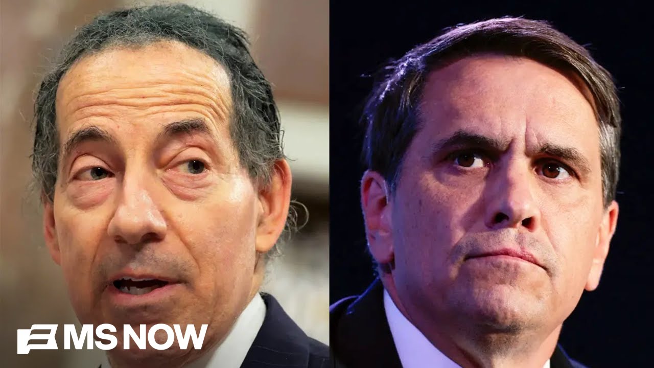 Rep. Raskin: Congress must shut down Trump 
