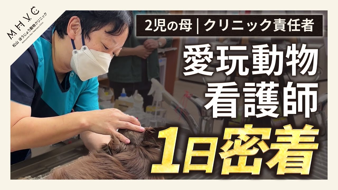 【二児の母、そしてクリニック責任者｜愛玩動物看護師の1日に密着】