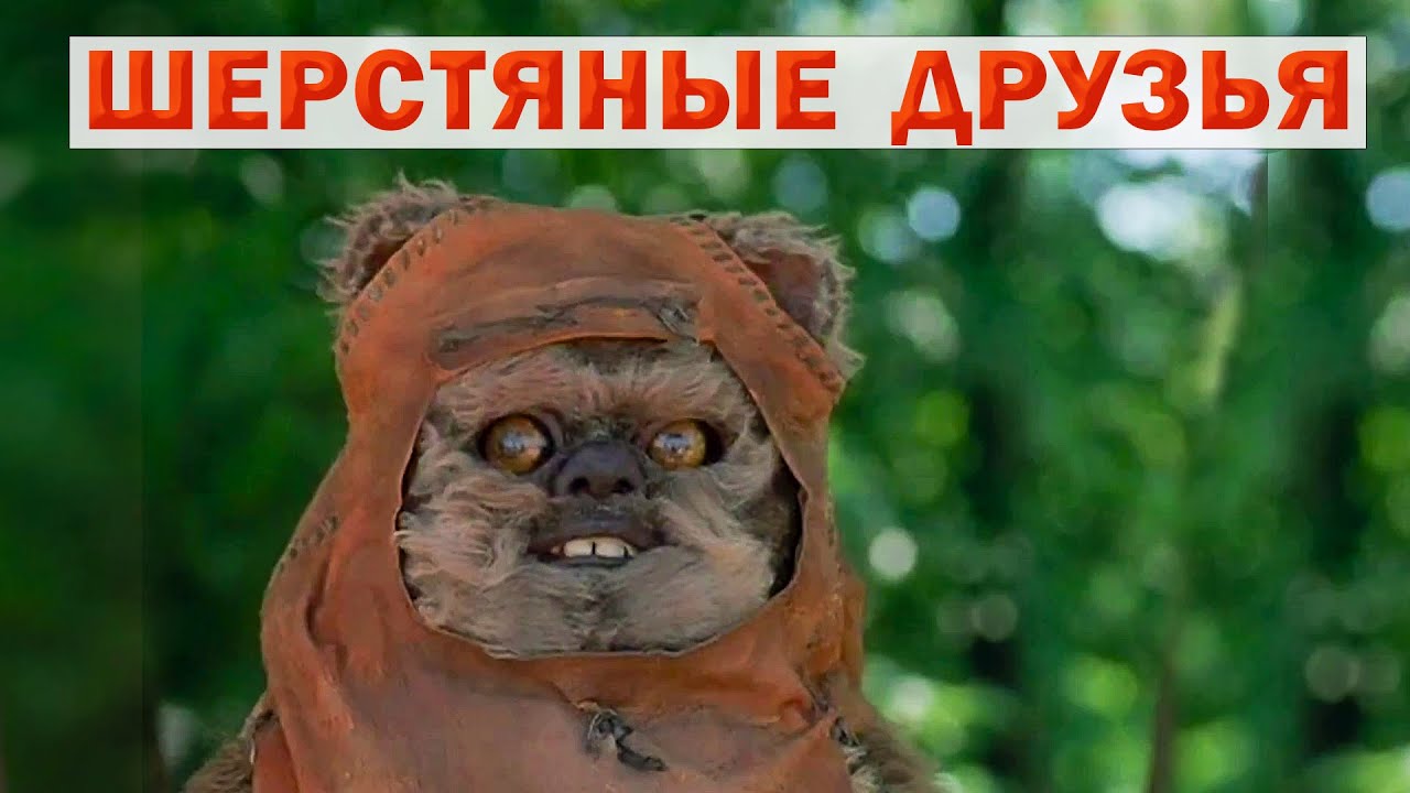 Маленькие шерстяные друзья | Евпата Кнур