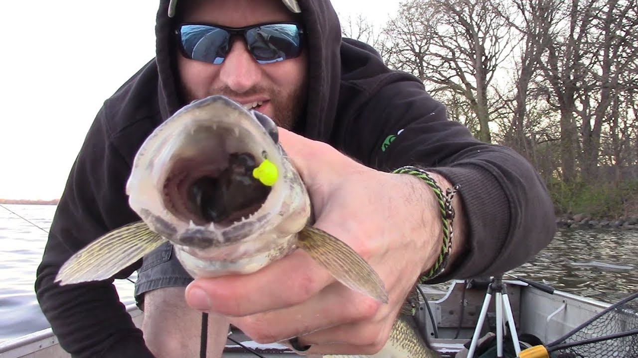 SLIP BOBBERING 101 Spring Walleyes on Lake Winnebago #shallowwater #leeches