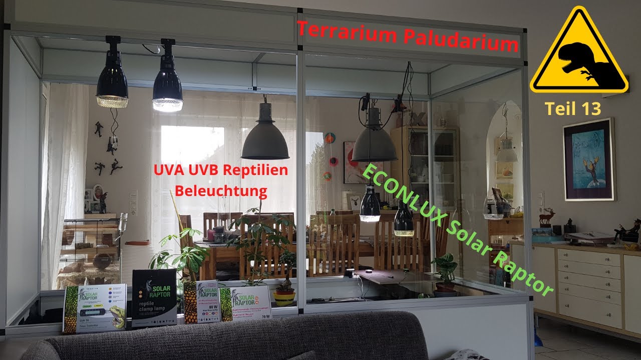 Terrarium Paludarium Bau Beleuchtung Installation Solar Raptor Econlux UVA UVB  varanus ?