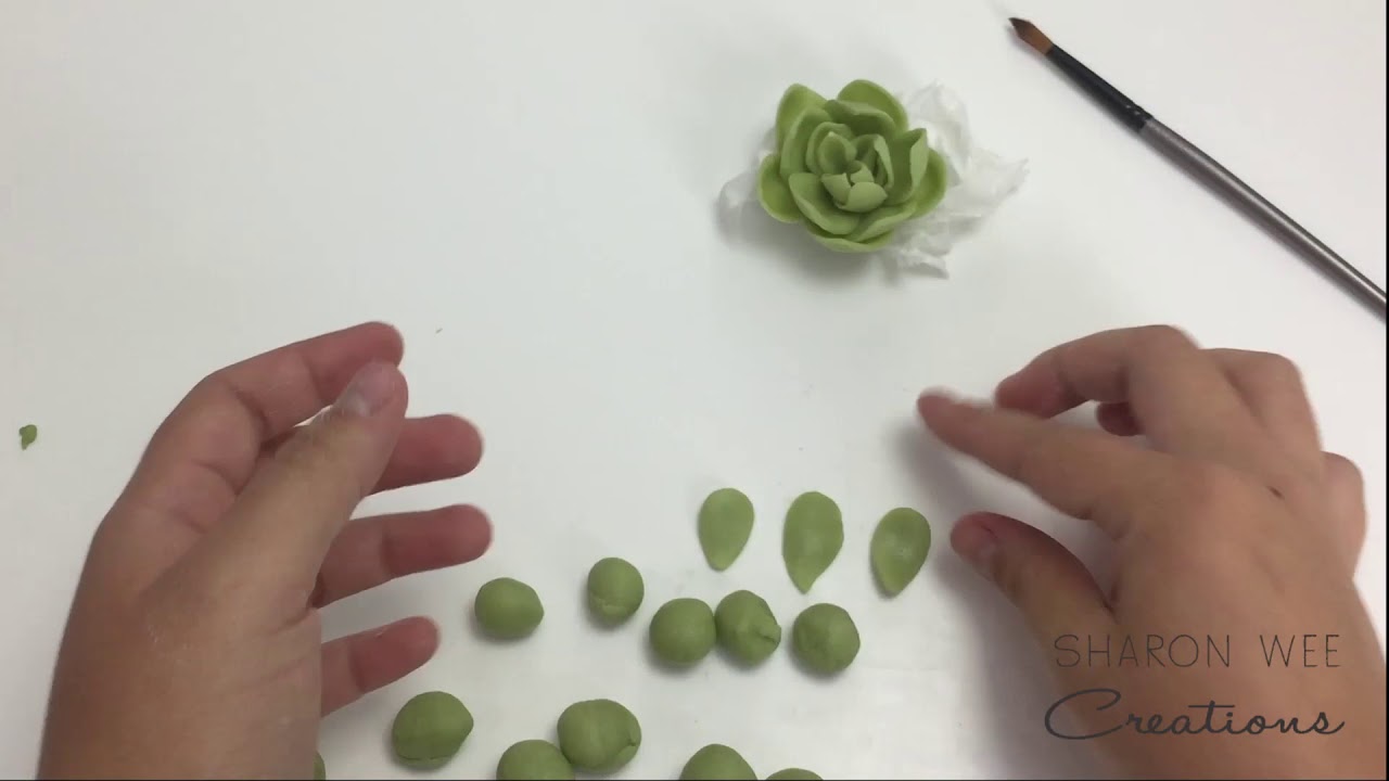 Easy Sugar Chocolate Succulents - no wires, with and without cutters