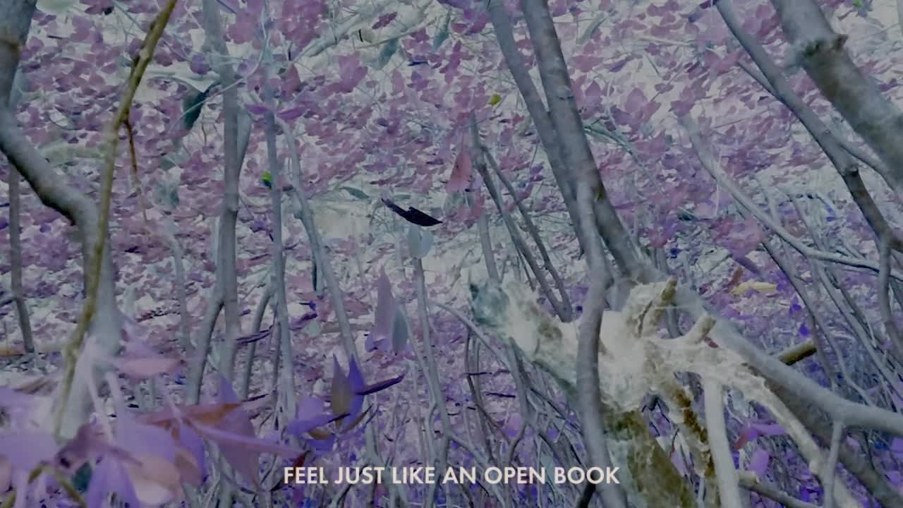Jos&eacute; Gonz&aacute;lez - Open Book (Lyric Video)