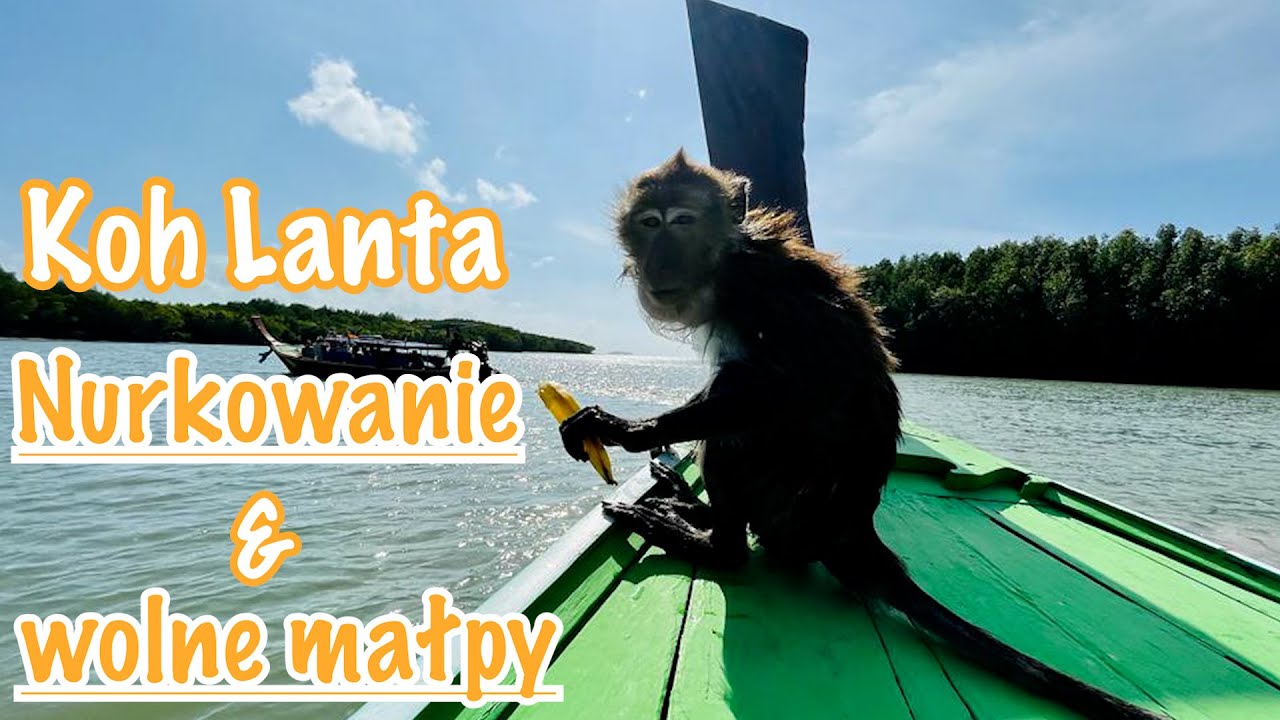 Tajlanida 🇹🇭 wyspa Koh Lanta Nurkowanie 🤿 świat podwodny i wolno żyjące małpy 🐒
