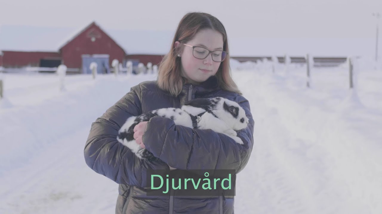 Vuxenutbildning på Dille Gård