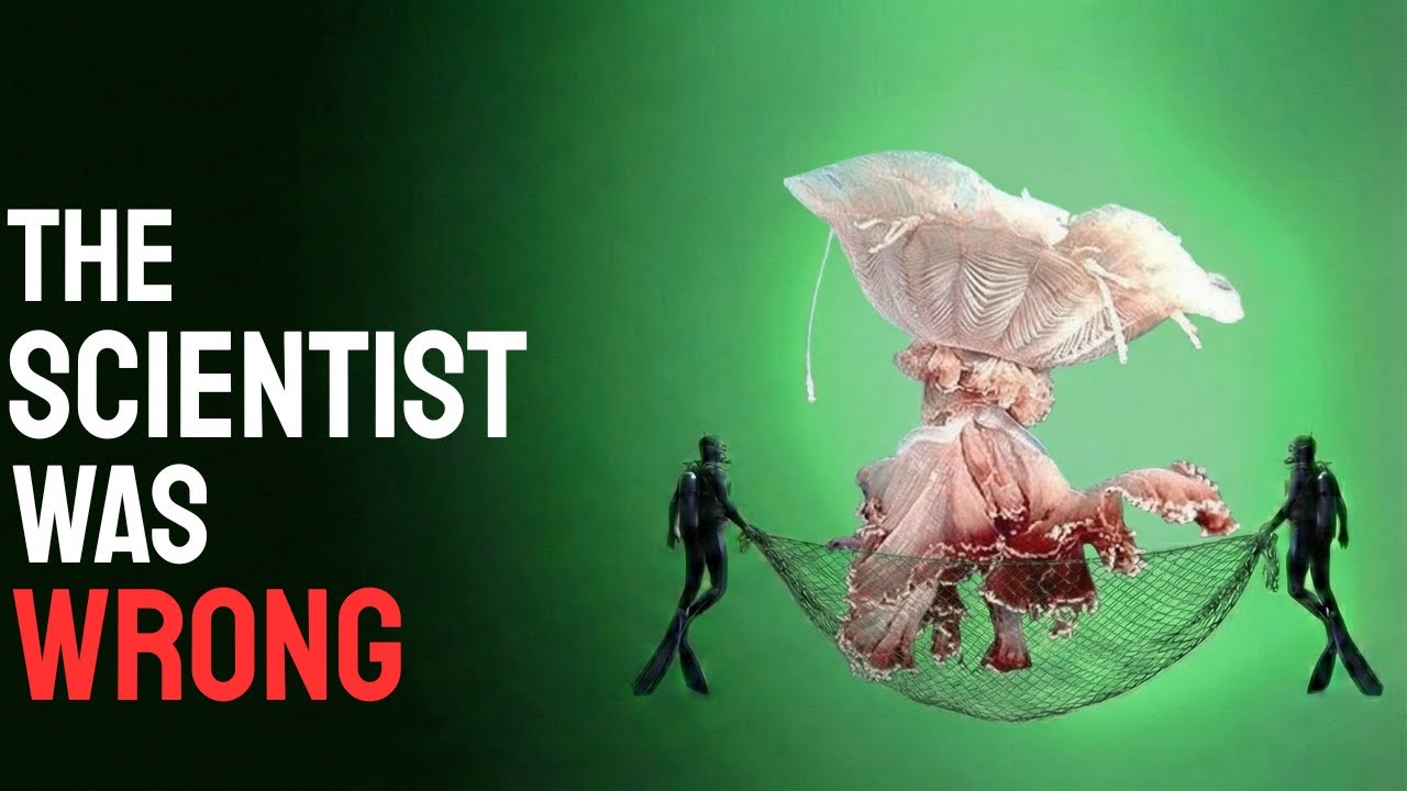 These Strangest Creatures Living in Deadly Underwater Places! Here's Why