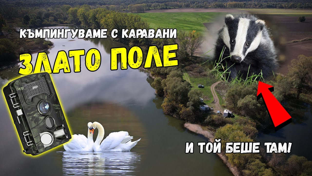 Какво улови фотокапана? | Гъбено разнообразие в защитената местност