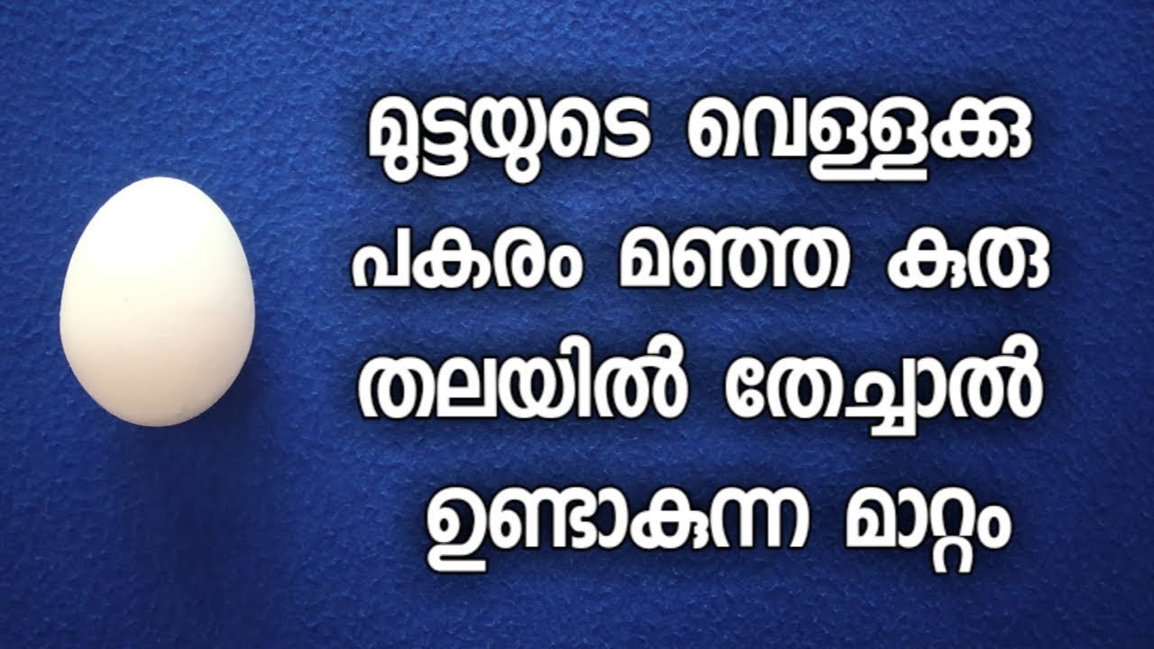 മുട്ടയുടെ മഞ്ഞ കുരു തലയിൽ തേച്ചാൽ ഉണ്ടാകുന്ന രണ്ടു അത്ഭുത മാറ്റങ്ങൾ | Egg yolk for hair benifits