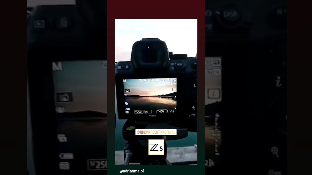 Nikon Z5 - Haciendo fotos al amanecer en el bosque de arrayanes - Argentina