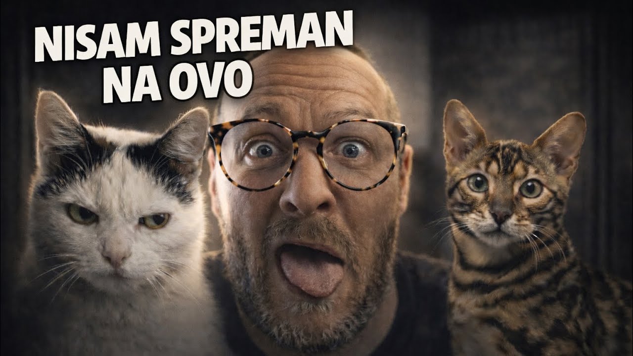 VRAĆAM SE KUĆI… A POGLEDAJTE KAKO SU ME DOČEKALI DZONI I SABKA 🐾
