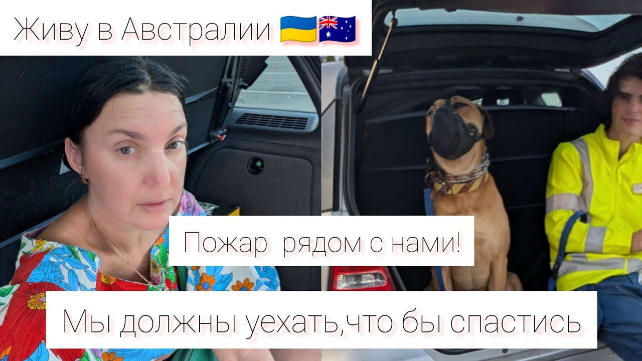 Живу в Австралии 🇦🇺🇺🇦. Новое несчастье. Неужели наш дом сгорит?!#україна #австралия #пожар 