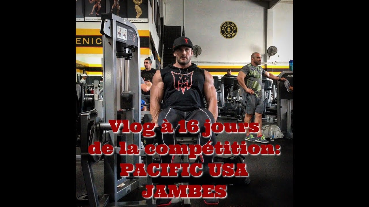 STANIMAL: Vlog à 16j de la compétition: JAMBES