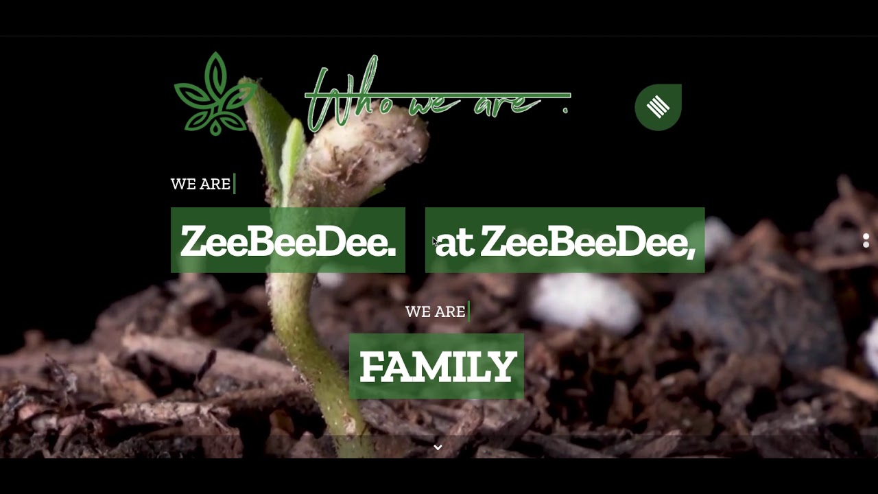 zeebeedee.wtf