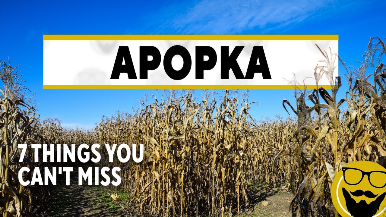 7 Can't-Miss Things in Apopka, Florida || Parks, Birds, & Vampire Penguin