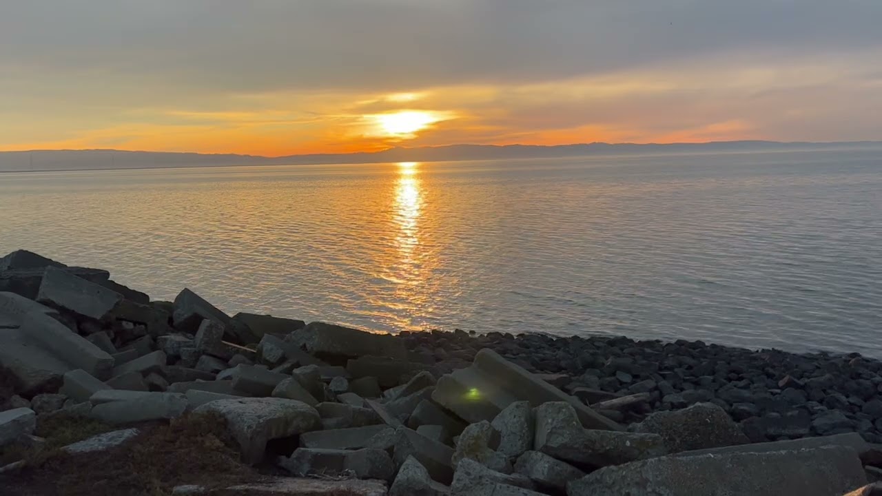 Russell City Shoreline (Hayward Shoreline)