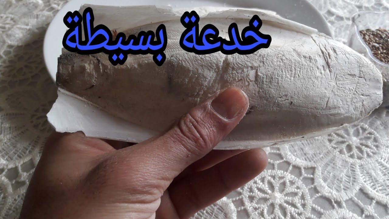 خدعة بسيطة لجعل طيورك تأكل عظم الحبار السيبيا