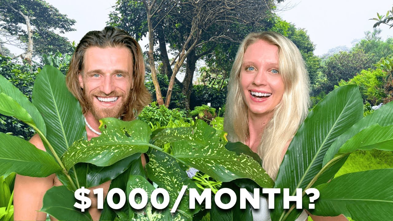 Living on $1000/month in World's EASIEST Country to Retire (Boquete, Panama)