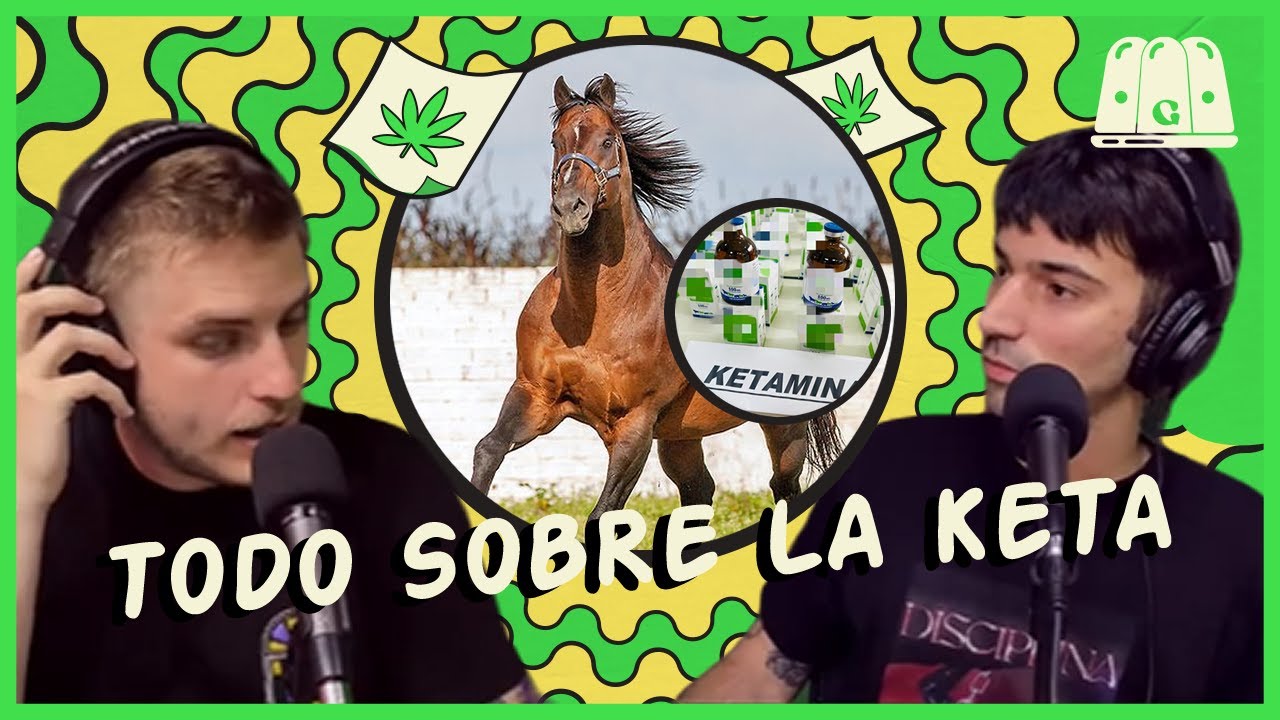 GELATINA | TODO SOBRE LA KETAMINA