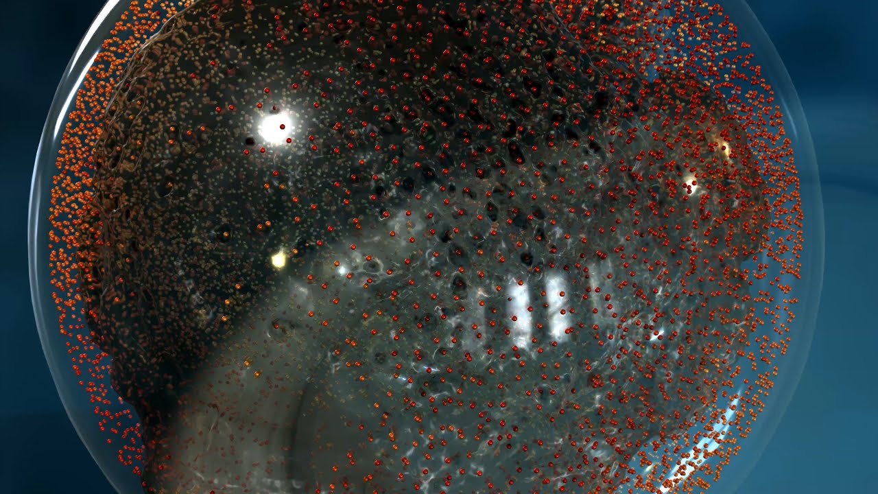 leisurewear - ipof wir