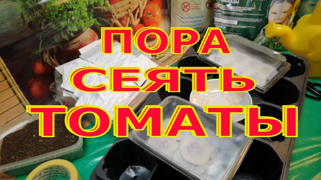 КОГДА САЖАТЬ НА РАССАДУ ТОМАТЫ.СЕЕМ ТОМАТЫ ПРАВИЛЬНО.