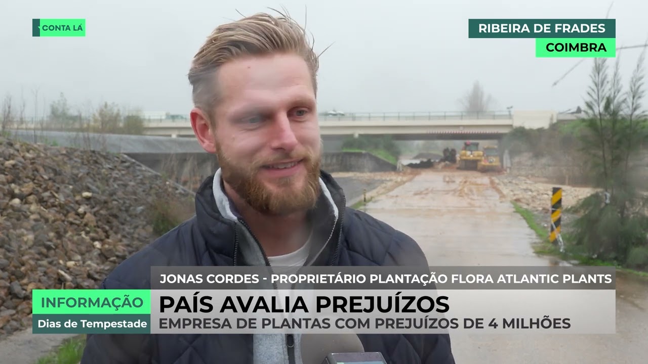 Rutura do dique do Mondego afeta meio milhão de plantas em produtora de Coimbra