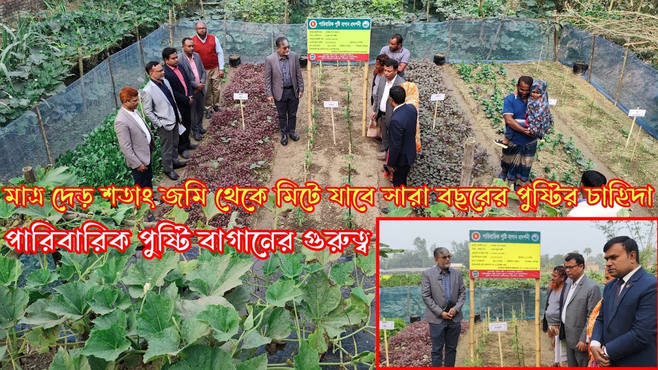 পারিবারিক পুষ্টি বাগান মানেই পুষ্টির দোকান|| নিরাপদ শাক সবজি|| অনাবাদি পতিত জমির সর্বোচ্চ ব্যবহার ||