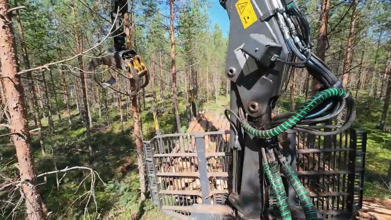 John Deere 1510G Männikön Ensiharvennuksella ja on pientä puuta.