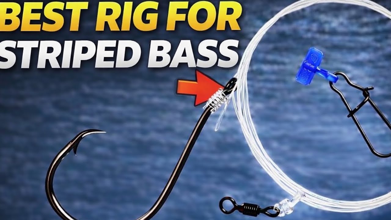 Best Striped Bass Rig That Catches Every Time!