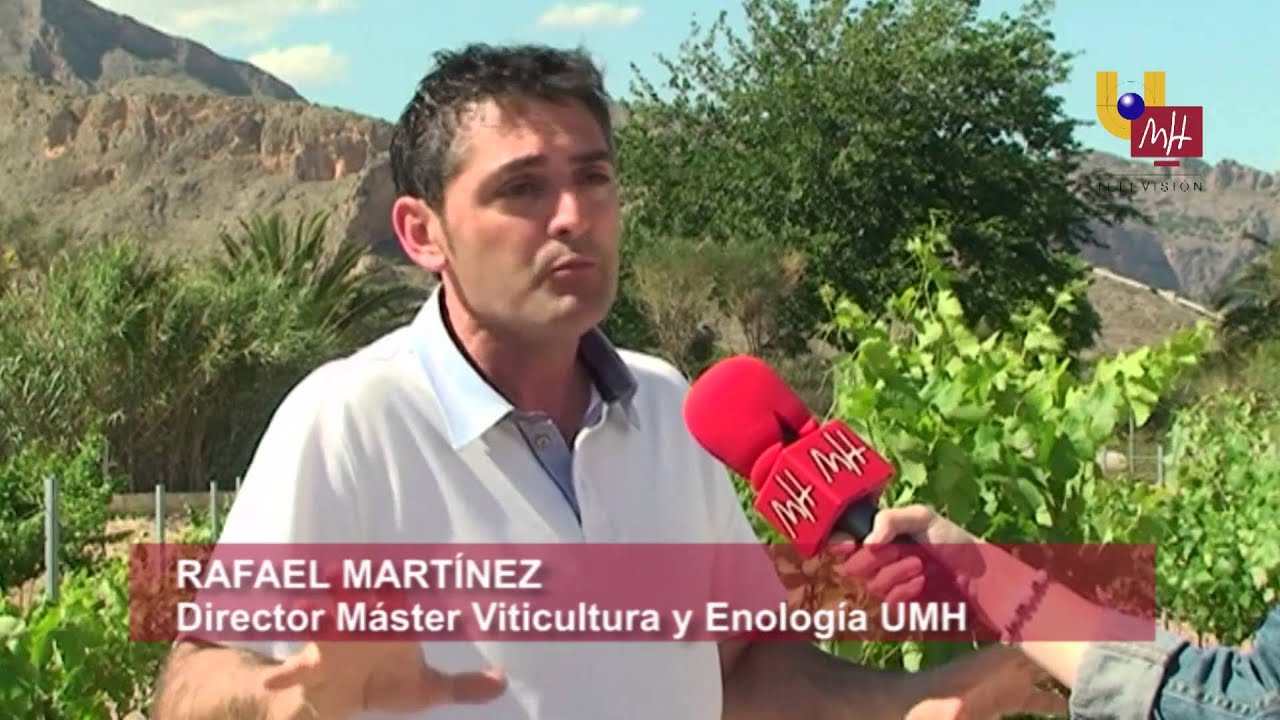 UMH TV - M&Aacute;STER VITICULTURA Y ENOLOG&Iacute;A EPSO