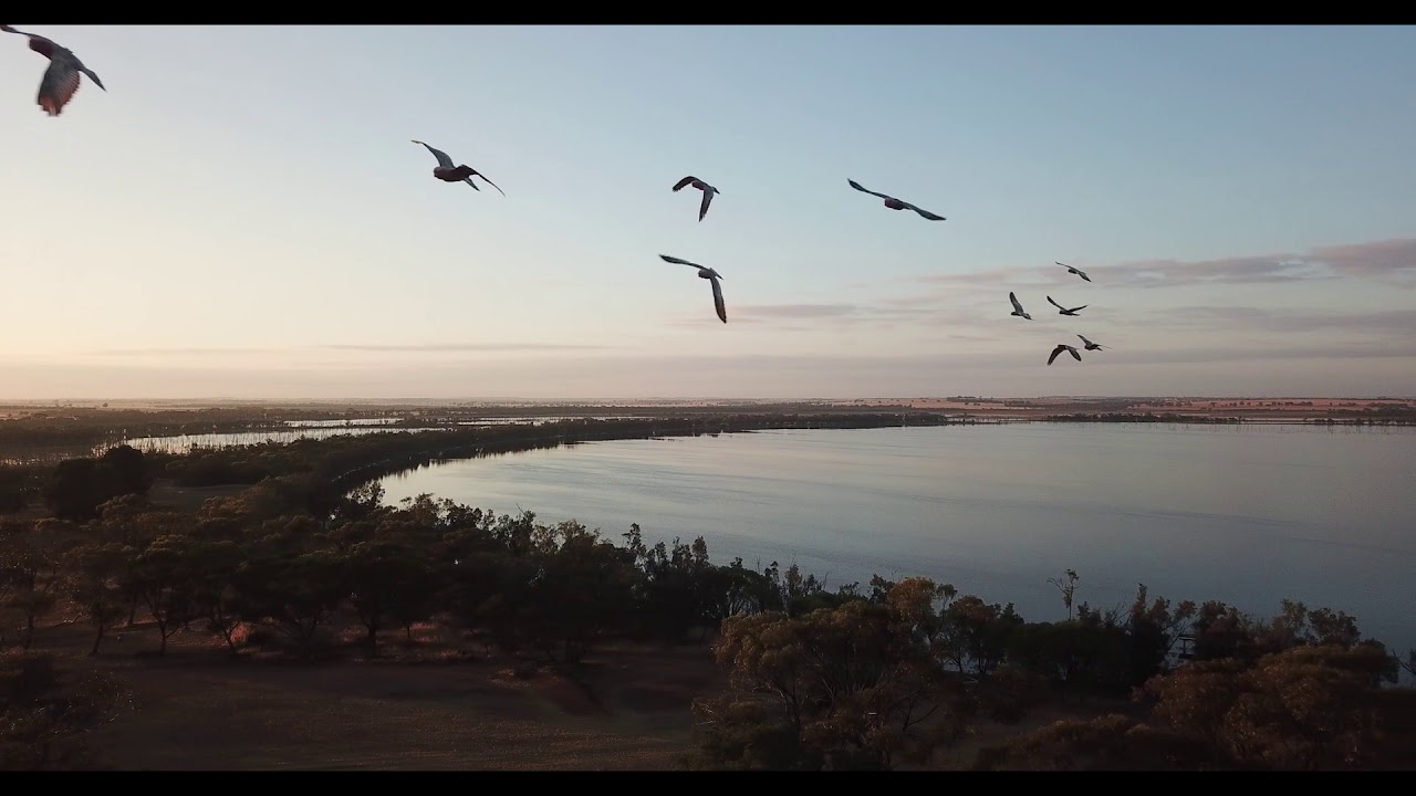 Yealering Hotel Promo
