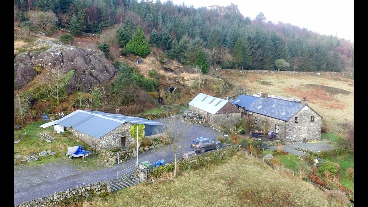 Beddgelert Forest, Beddgelert, Gwynedd