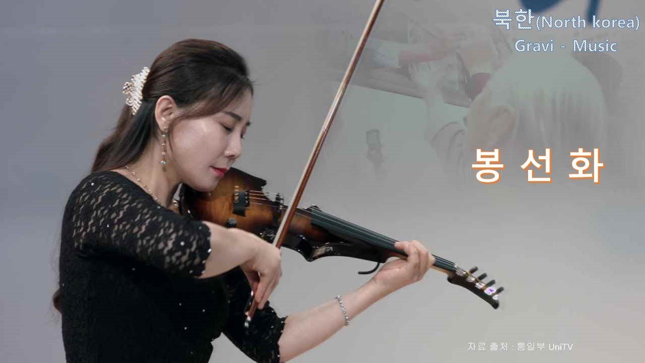 봉선화    Gravi (violin)