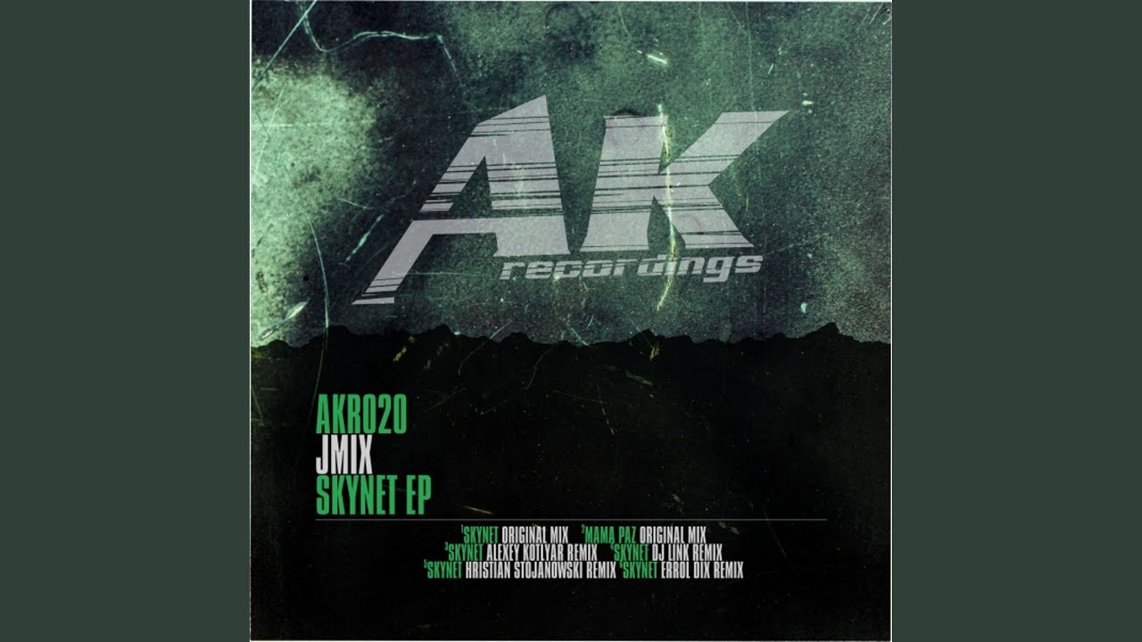 Skynet - DJ Link Remix