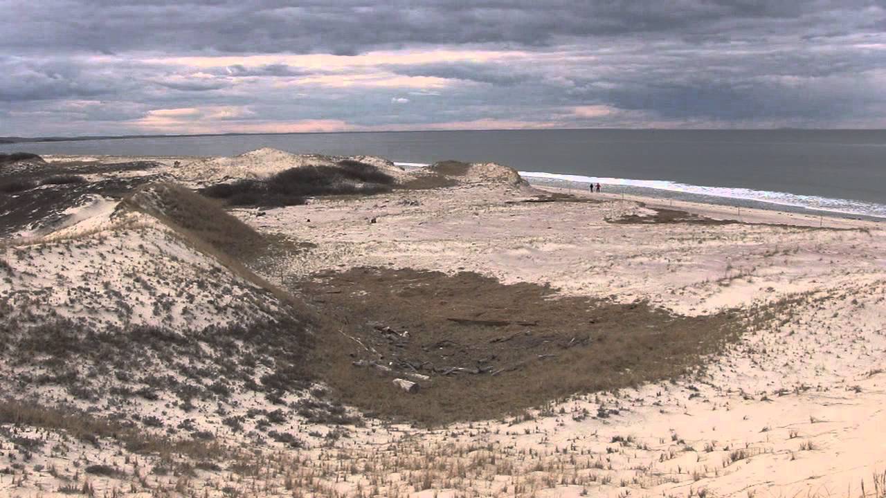 Crane Beach wrack line