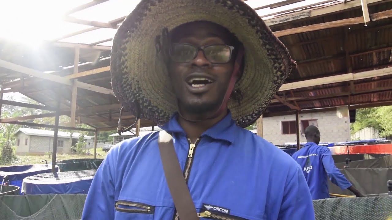Comment faire des millions grâce à la production de poisson (visite de notre ferme piscicole)