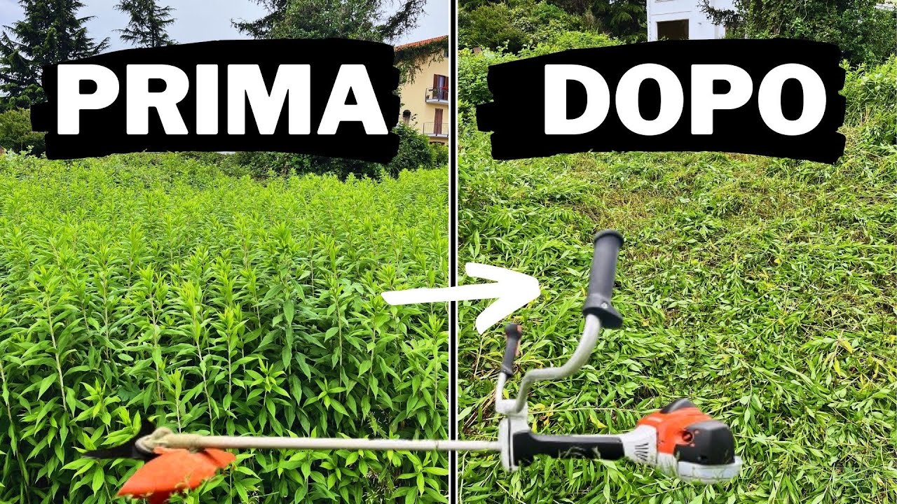 SFALCIO erba con DECESPUGLIATORE STIHL FS561
