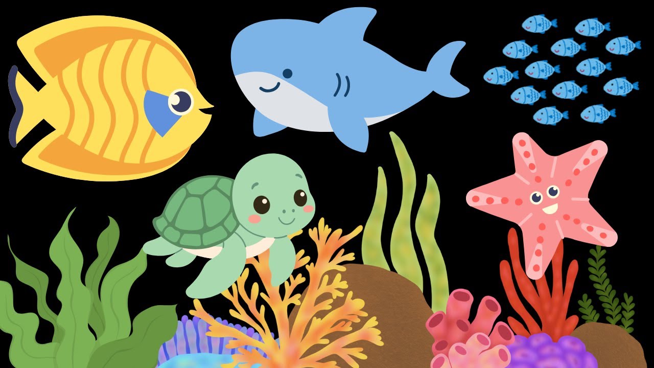 Baby Sensory Under the Sea Adventure Visual Stimulation with High Contrast #babysensoryvideos