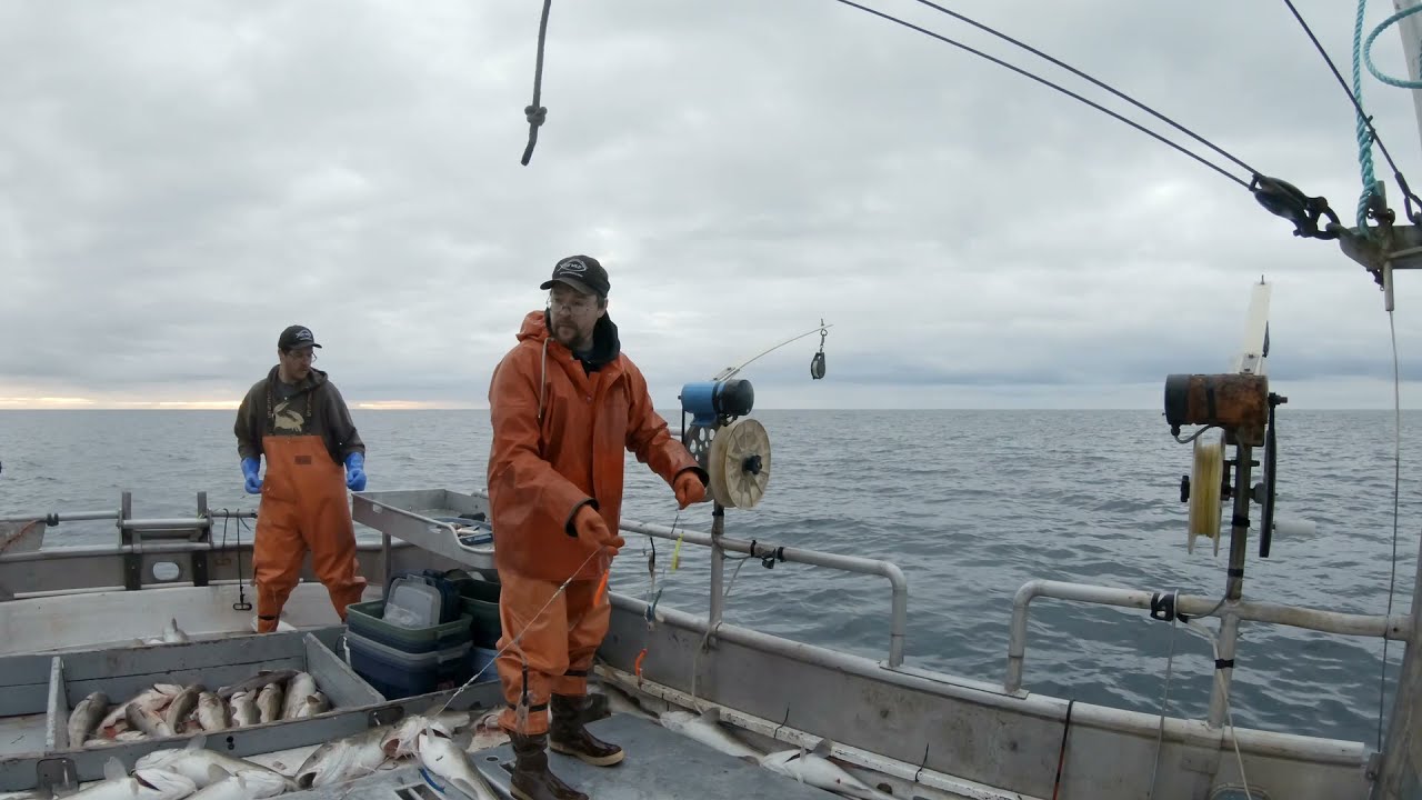 Throwback - Cod Fishing in May Pt.1