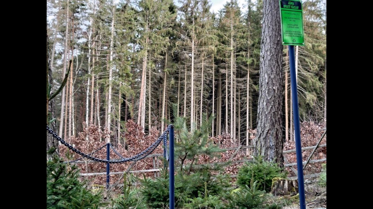 Videoproch&aacute;zky lesem - Středoč. kraj - Rakovnicko - U Pěti dubů - J&aacute;ma sv. V&aacute;clava by Iveta Honzov&aacute;