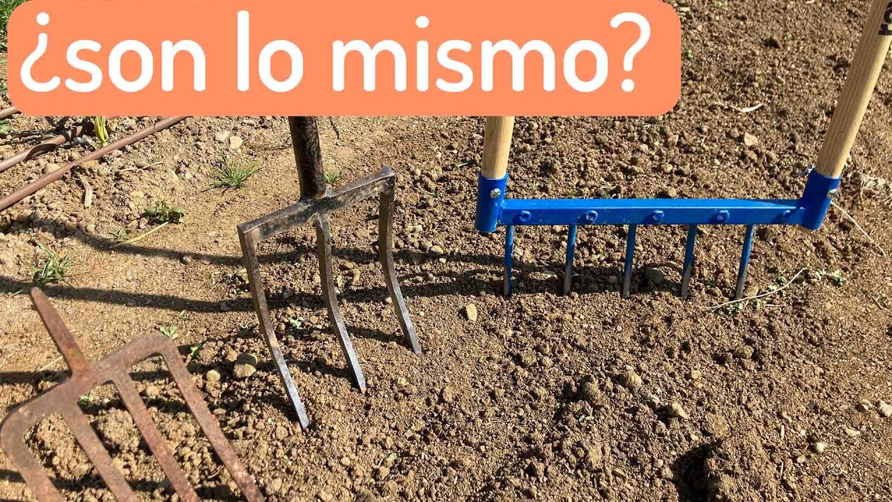 Tipos de layas