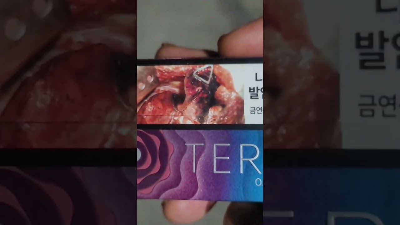 아이코스 테리아  TEREA 오아이스펄 맛본 후기(약한 퍼플에 체인지만)