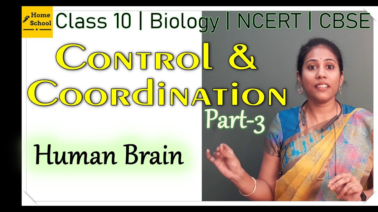 Control and Coordination | Class 10 Biology | CBSE | Part 3
