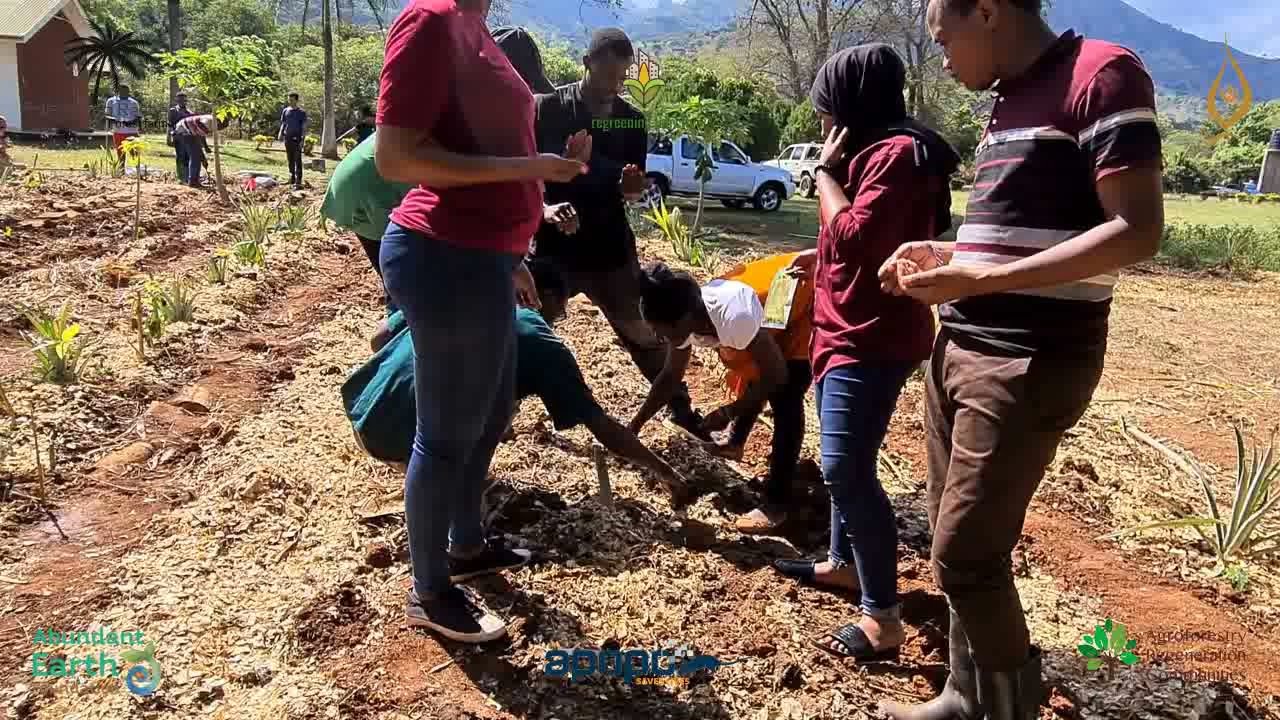 First syntropic agroforestry farm in Tanzania, in the backyard of Sokoine University of Agriculture
