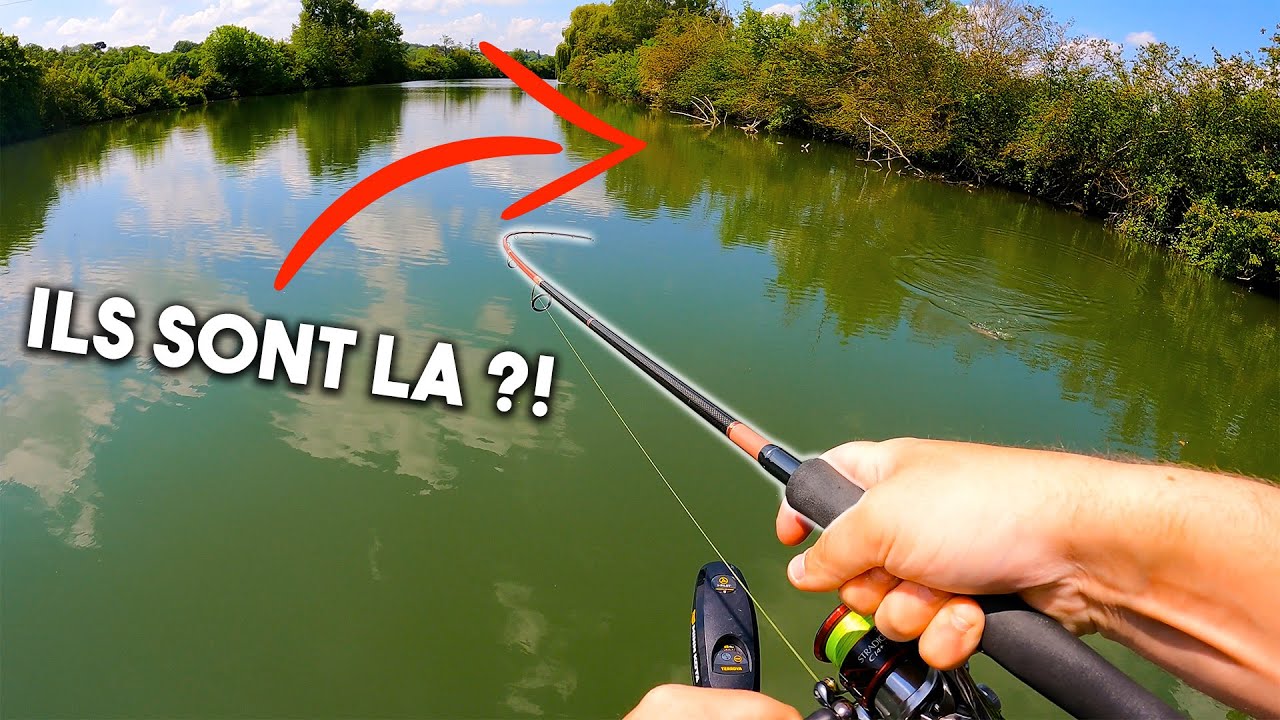 Il y'en a partout mais je n'arrive pas à les pêcher !