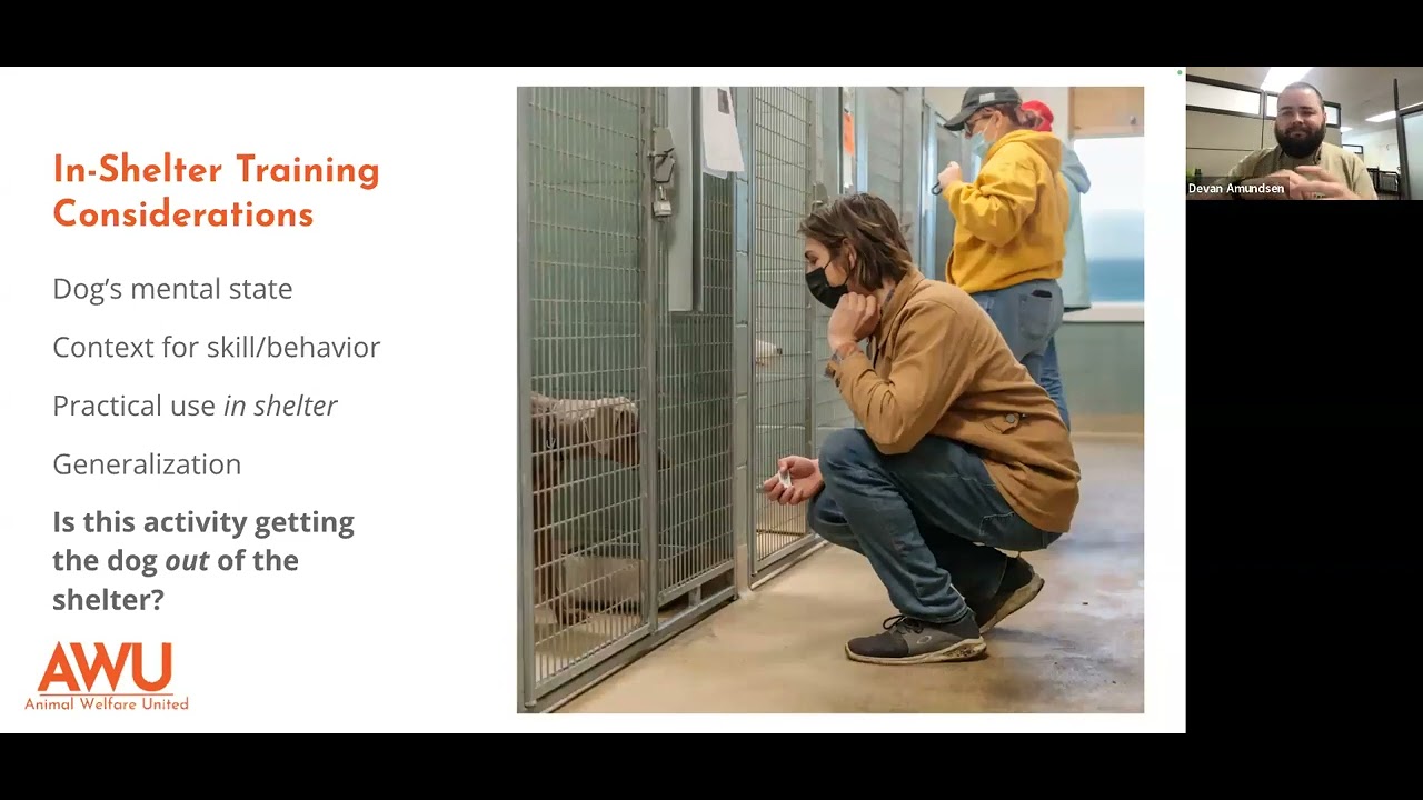 Removing Behavior-Related Barriers to Adoption - May 2024 MMBC Webcast