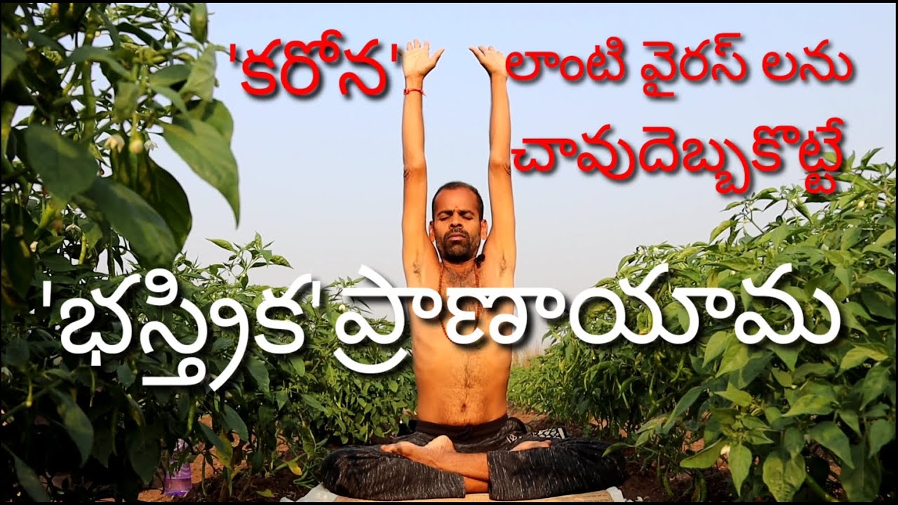 How To Do Bastrika Pranayam For Beginners | కరోనా లాంటి వైరస్ లను చావు దెబ్బ కొట్టే భస్త్రిక  |