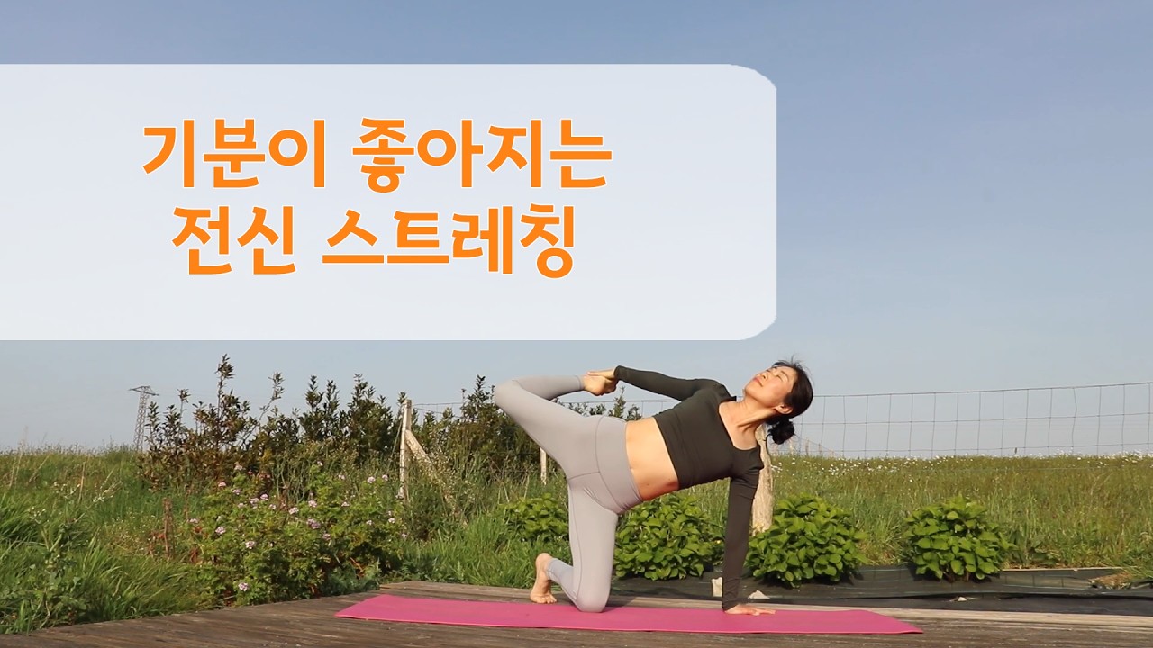 기분이 좋아지는 전신 스트레칭 / 전신 순환에 좋은 데일리 요가