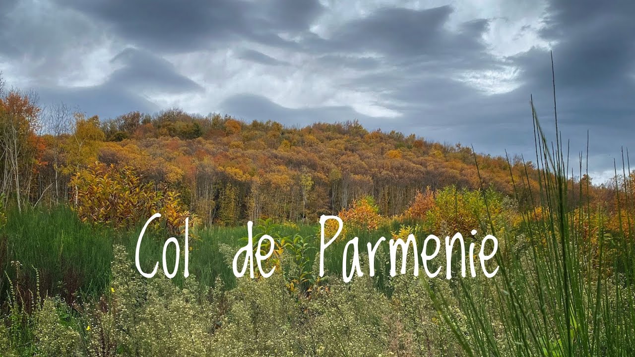Boucle Tullins Col de Parmenie