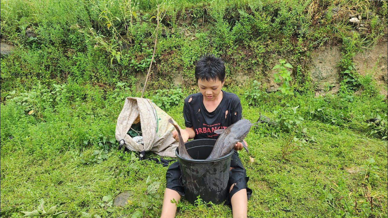 Orphaned Boy- Go fishing, Catch big fish Take it to sell, Bring home to eat - The mountain child